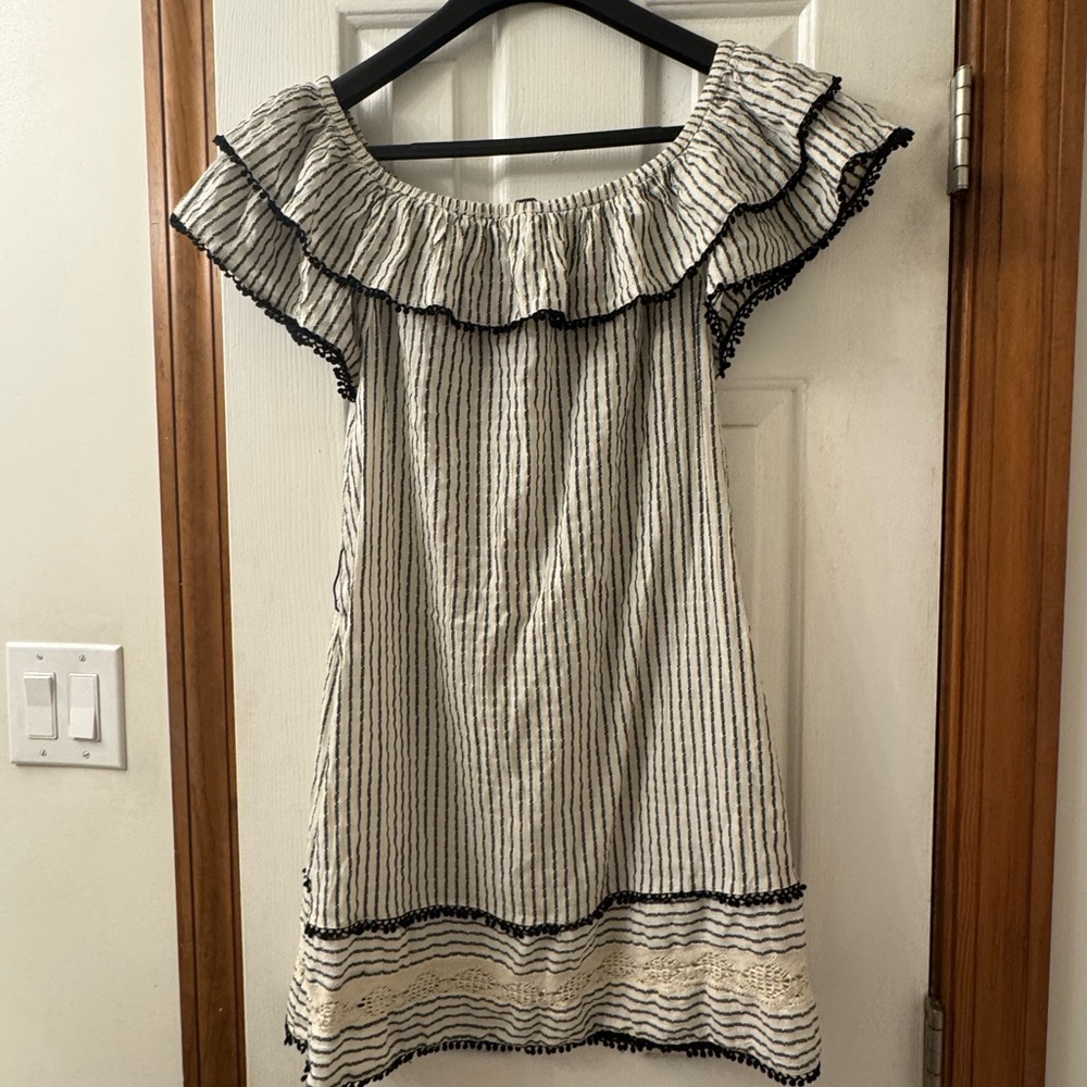 Zara Black and White Striped Dress